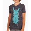 stag beetle kids tshirt rohac detske tricko s broukem lucie tatarova asfaltova